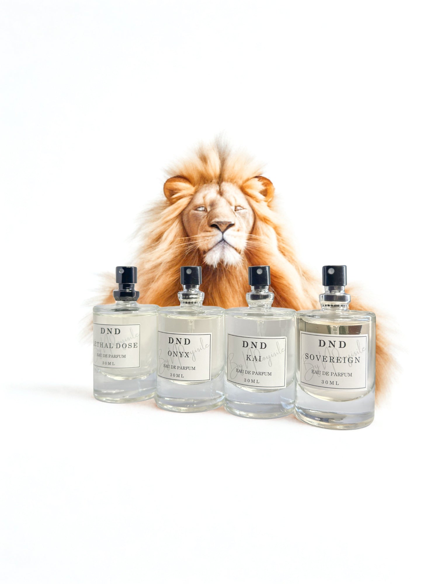 DND Perfumes for him